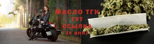 СК Каменка