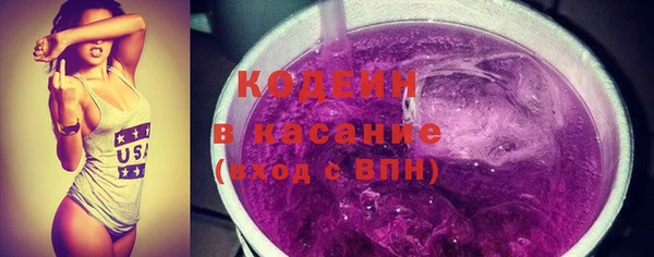 СК Каменка