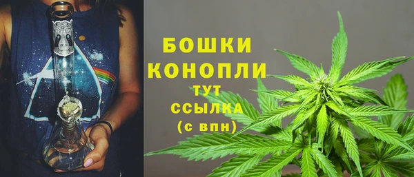 СК Каменка