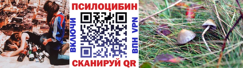 Галлюциногенные грибы Cubensis Звенигород