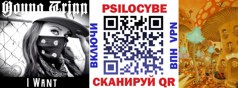Купить  Звенигород  Псилоцибиновые грибы MAGIC MUSHROOMS 